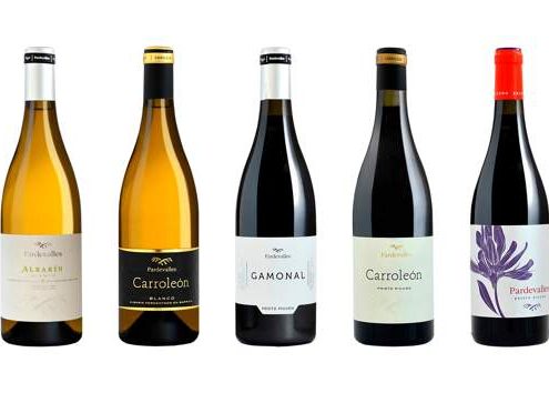 Bodegas Pardevalles - 4