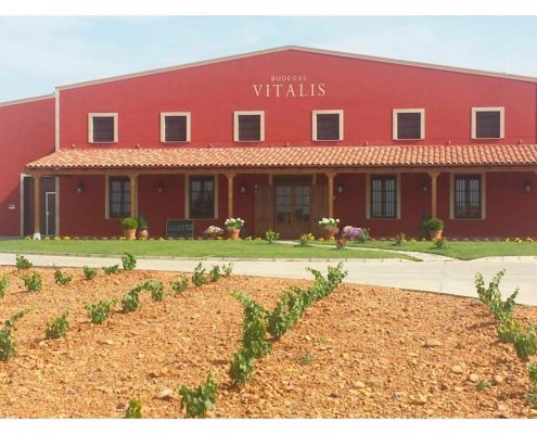 Bodegas Vitalis - 2
