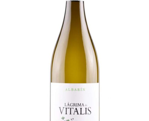 Bodegas Vitalis - 3