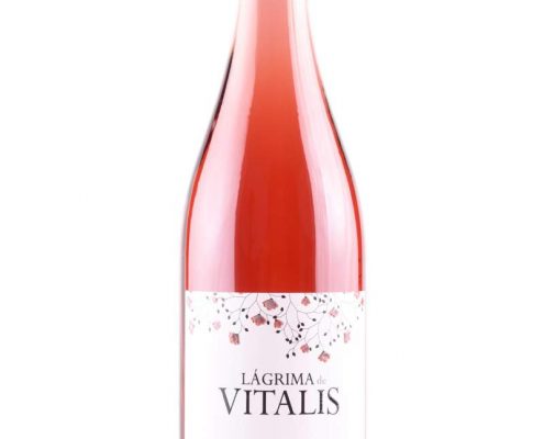 Bodegas Vitalis - 4