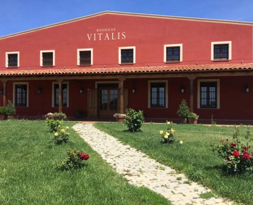 Bodegas Vitalis - Exterior