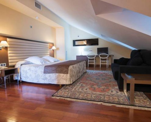 Hotel Spa París - 8