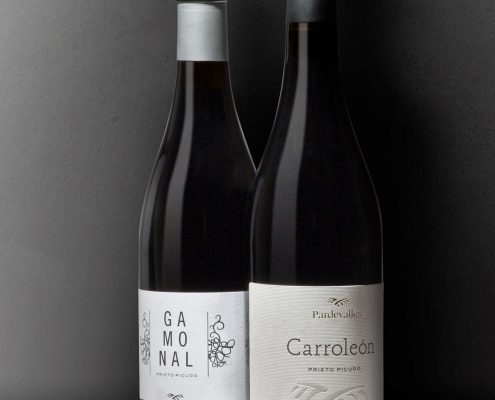 Bodegas Pardevalles - 8