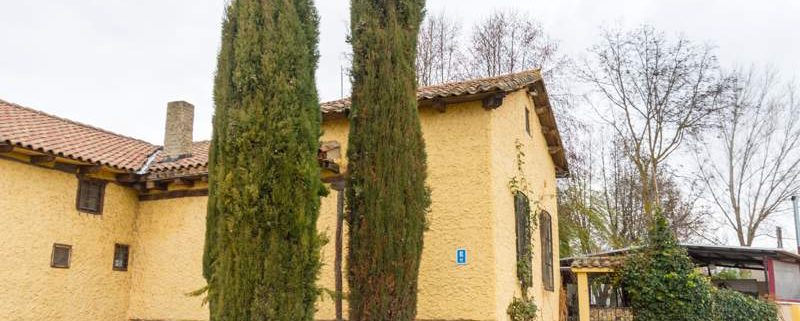 Reguero Moro - Calçots en León - 2