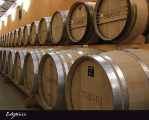 Bodegas Estefanía Tilenus 2018 - 6