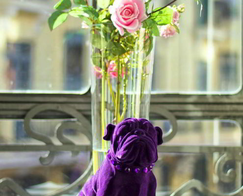 Purple Dog Suites León 2018 - 2