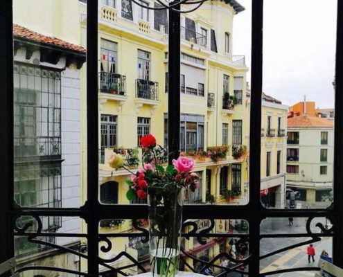 Purple Dog Suites León 2018 - 8