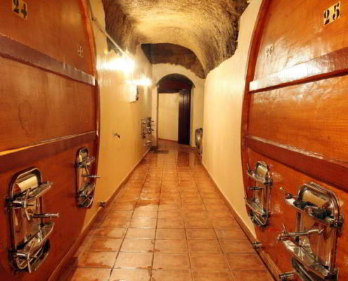 Bodega Palomares - 3