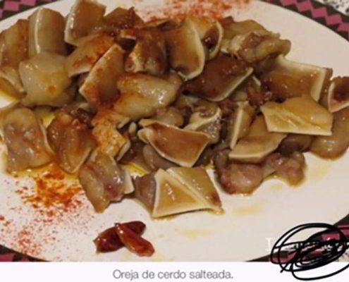Canorte - 8