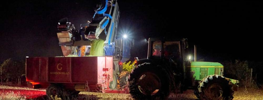 Cargando el tractor - Vendimia Nocturna Gordonzello