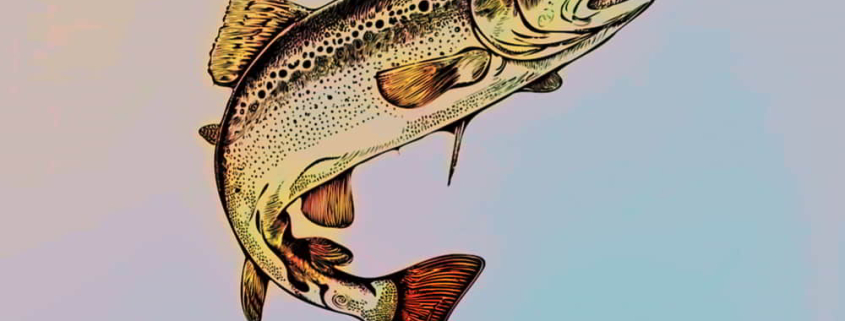 Semana Internacional de la Trucha de León